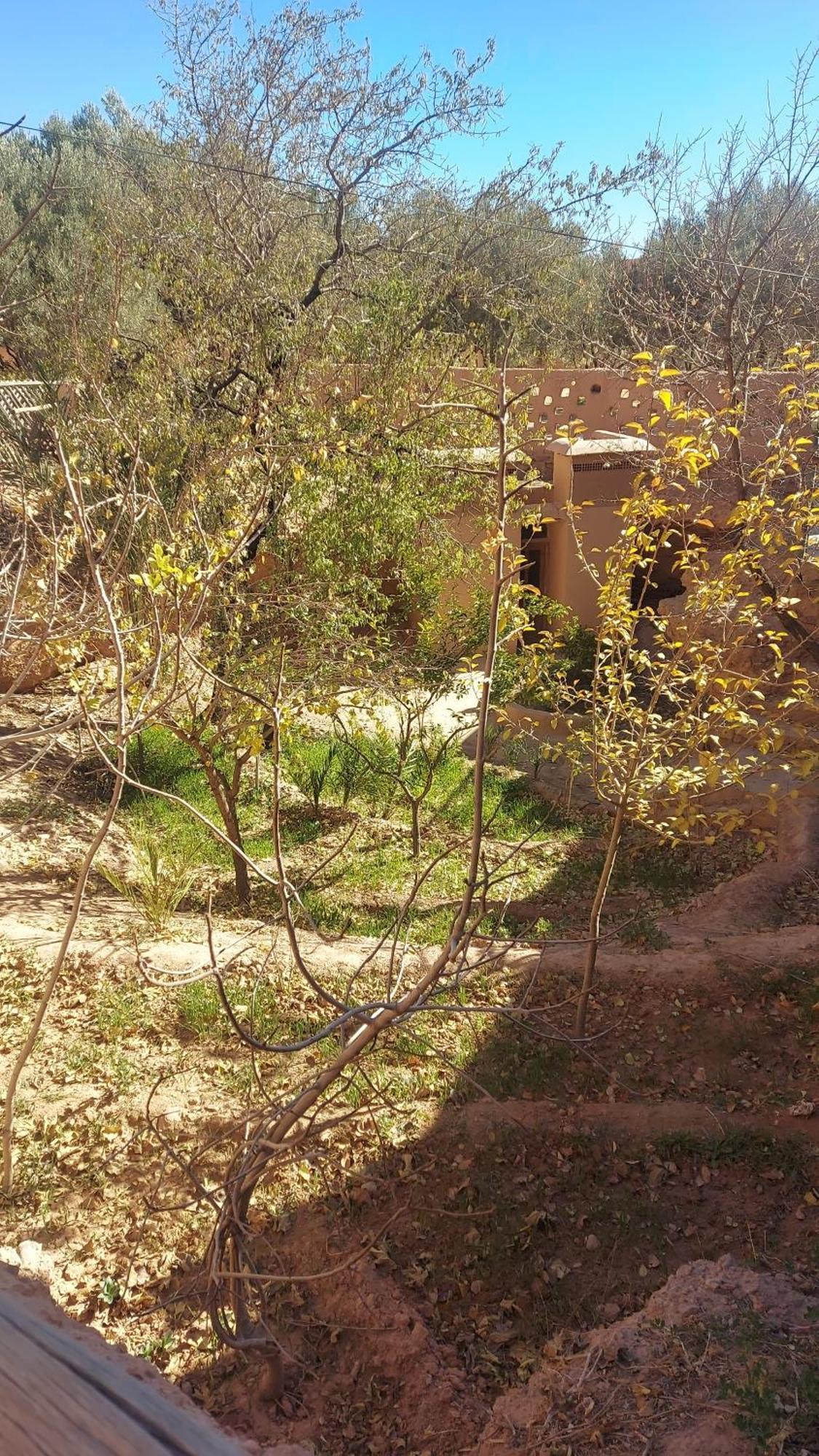 Ecolodge Miss Rose Chez La Famille Boumalne Dades Exterior photo